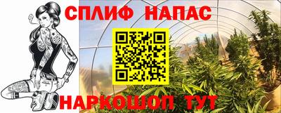 каннабис Будённовск