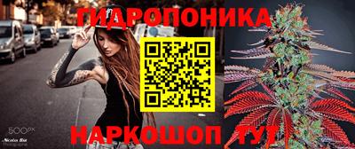 каннабис Будённовск