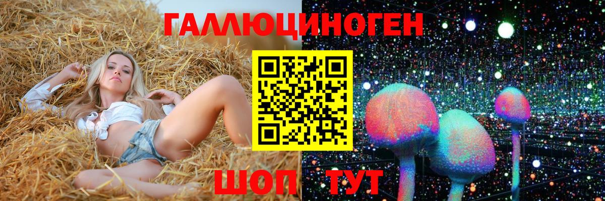 Псилоцибиновые грибы Psilocybe  Вход с VPN  Псилоцибиновые грибы мицелий  Североуральск 